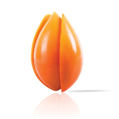 Dobla Chocolate Decoration Tulip Orange (20 pieces)