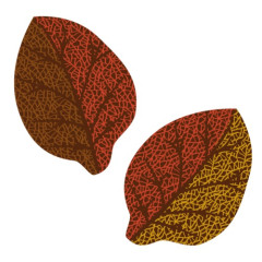 Callebaut Chocolate Decoration Autumn Leaves 120pcs.