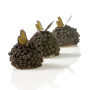 Dobla Chocolate Decoration Butterfly (120 pieces)